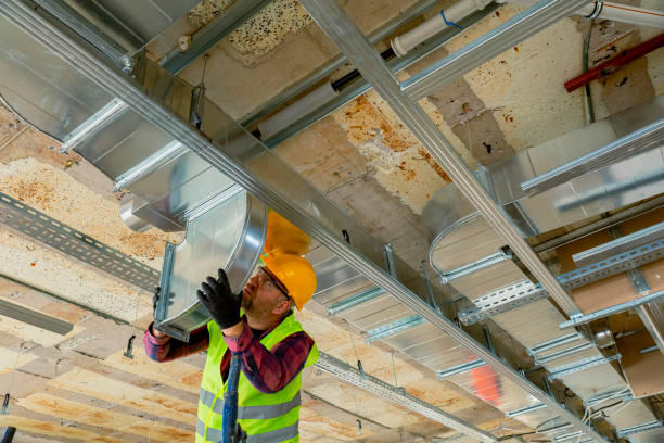 Best Best HVAC Companies  in Kalaheo, HI